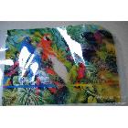 供應(yīng)PVC軟膠印刷