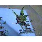 供應(yīng)膠片印花