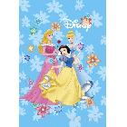 供應(yīng)PVC彩色印刷