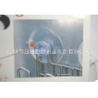 吸盤掛鉤，無(wú)痕掛鉤，強(qiáng)力掛鉤吸盤，掛鉤吸盤