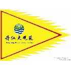 供應定做串旗  三角串旗 串旗制廠家