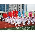 供應(yīng)海南促銷彩旗 雙面透彩旗 旗幟定做