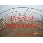 供應(yīng)大棚專用，纖維絲， 玻璃布 ，網(wǎng)格布 薄膜 袋子(圖)