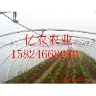 供應(yīng)大棚專用纖維絲 玻璃布 網(wǎng)格布 薄膜 袋子(圖)