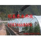 供應(yīng)安陽億農(nóng)專賣卡子，卡扣，玻璃布，網(wǎng)格布，纖維布，薄膜，