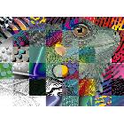 供應(yīng)廣告設(shè)計(jì)8