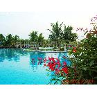 提供服務(wù)蘇州廣告設(shè)計培訓(xùn)蘇州平面設(shè)計培訓(xùn)