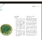 畫冊設(shè)計 公司廣告畫冊設(shè)計 創(chuàng)意畫冊設(shè)計 精美畫冊設(shè)計