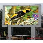 供應(yīng)浙江LED顯示屏臺州LED顯示屏P10全彩LED