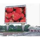 供應英倫特顯示P25LED顯示屏