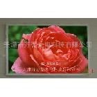 供應(yīng)天津LED顯示屏P10板38元帶強(qiáng)磁鐵 亮度高質(zhì)量穩(wěn)定