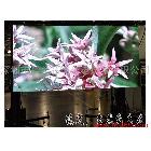 供應(yīng)綿陽LED顯示屏  科美芯制造