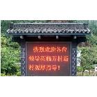 廠家p10室外單（藍）色LED顯示屏  （防水節(jié)能、環(huán)保）