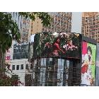 供應(yīng)室外LED電子顯示屏（價格）