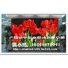 供應(yīng)誠芯廣州全彩LED顯示屏 LED電子顯示屏 廠家直銷