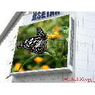 供應(yīng)LED電子顯示屏專業(yè)廠家