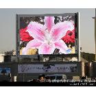 供應(yīng)LED顯示屏