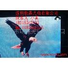 供應(yīng)舞臺(tái)背景全彩LED顯示屏