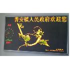 供應(yīng)番禺大石LED顯示屏，歡迎到廠選購(gòu)定做