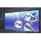 供應(yīng)揚(yáng)州彩色led顯示屏