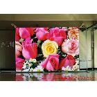 供應(yīng)徐州彩色led顯示屏