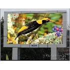 供應(yīng)重慶LED顯示屏，成都LED顯示屏，四川LED顯示屏，南充LED顯示屏