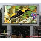 供應貴州重慶四川LED顯示屏