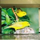 供應p4戶內(nèi)全彩led顯示屏