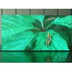 供應(yīng)北京p8戶外全彩led顯示屏