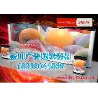 供應(yīng)杭州拉網(wǎng)展架定做 拉網(wǎng)生產(chǎn) 拉網(wǎng)展架畫面制作 弧形拉網(wǎng)展架 鋁合金拉網(wǎng) 彈簧