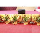 供應(yīng)電動禮炮 佛山開業(yè)慶典策劃電動禮炮出租