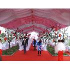 供應(yīng)金山慶典禮儀篷房，聚會篷房