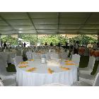 供應(yīng)嘉定慶典禮儀篷房，聚會篷房，車展篷房，宴會篷房，婚慶篷房