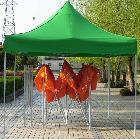 供應黑金剛3*33=3黑金剛廣告帳篷