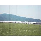 供應、廣告帳篷、廣告篷房、