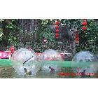 供應(yīng)充氣水上步行球價格/氣模/廠家/生產(chǎn)