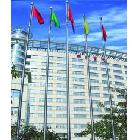 供應(yīng)河南鄭州電動(dòng)旗桿 廠家直銷