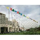 供應(yīng)旭之光錐形旗桿2