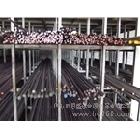 供應南海不銹鋼旗桿  佛山不銹鋼燈桿  南海不銹鋼紅旗桿