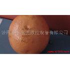 供應金強激光JQ-6040水果激光雕刻機