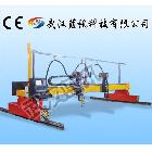供應藍訊ZLQ-4/5/7武漢數(shù)控切割機 龍門式等離子火焰