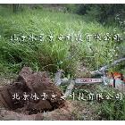 供應(yīng)帶土球起苗機凍土切割機