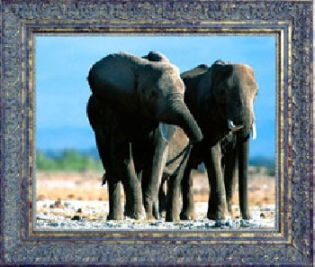 供應(yīng)立體畫，恩施立體畫，巴東立體畫，宣恩立體畫