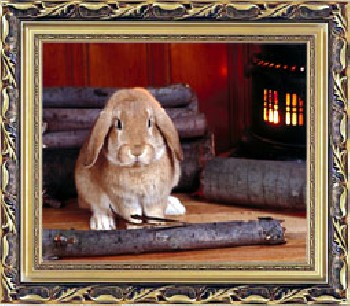 供應(yīng)立體畫，仙桃立體畫，天門立體畫，鑫江河立體畫