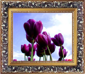 供應(yīng)立體畫，山東立體畫，山東立體畫批發(fā)