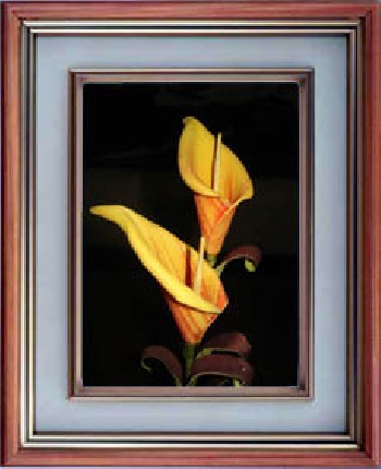 供應(yīng)山東三維立體畫(huà)技術(shù)培訓(xùn)，山東三維立體畫(huà)技術(shù)培訓(xùn)