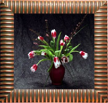 供應(yīng)立體畫(huà)技術(shù)培訓(xùn)，河南立體畫(huà)技術(shù)培訓(xùn)，河南立體畫(huà)