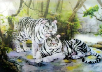 長樂三維立體畫，永安三維立體畫，石獅三維立體畫