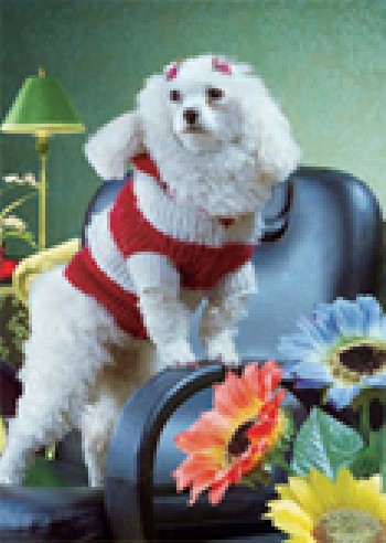 供應(yīng)安徽三維立體畫，馬鞍山三維立體畫