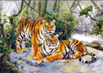 吳江三維立體畫，昆山三維立體畫，太倉三維立體畫